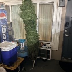 Real Tree 8ft