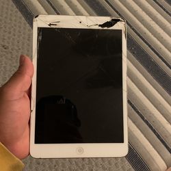 64 Gb iPad