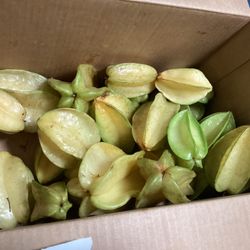 Starfruit By The Box 30 Total 