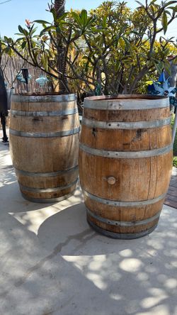 Oak wine barrels