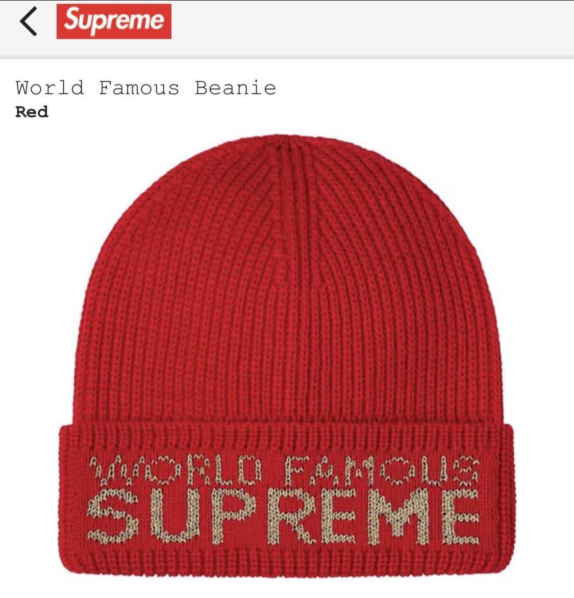 Supreme Worlds Famous Beanie