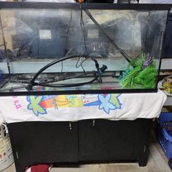 65 Gallon Fish Tank And 20 Gallon Fish Tank