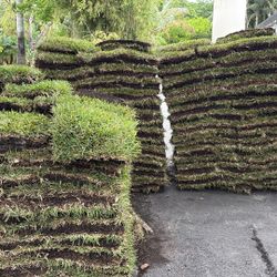 St Augustine Sod - $225 Per Pallet