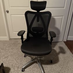 Ergonomic Office Chair