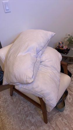 Pillows for pets