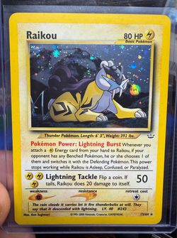 *Pokemon* 2 LP Neo Double Holo Raikou