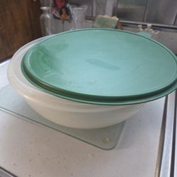 Tupperware Big Container 