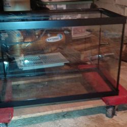2-20 Gallon Fish Tanks 1-10 Gallon Fish Tank And One Smaller  Fish Tank