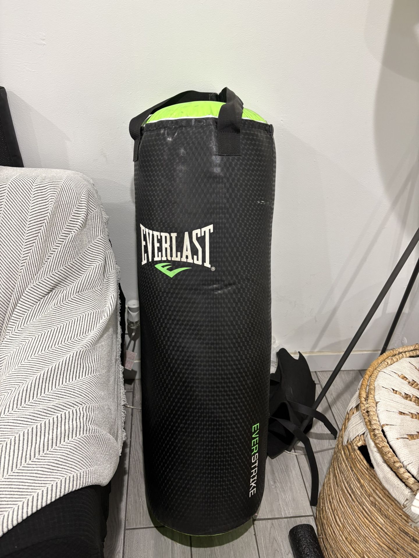 Everlast Punching Bag