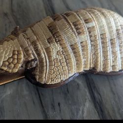 Beautiful Vintage Peruvian Charango Guitar 10-String–Armadillo Shell–Chachapoyas,1960's