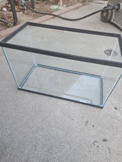 10 Gallon Fish tank & Supplies