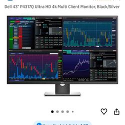 Dell 43” Monitor P4317Q