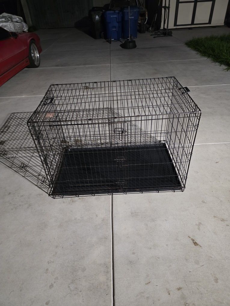 Dog Kennel