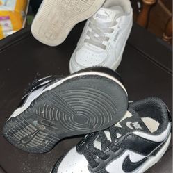 Pandas & Pumas