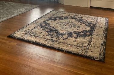 area rug 5x7 (bought from Costco)