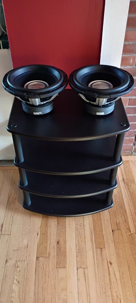 2 12" Subwoofers (no box)