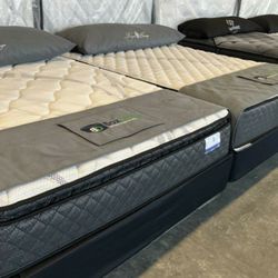 Mattresses & box springs NEED GONE!