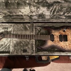 Schecter Guitar 