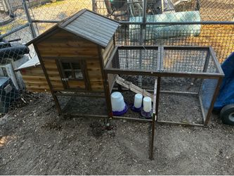 Chicken Coop