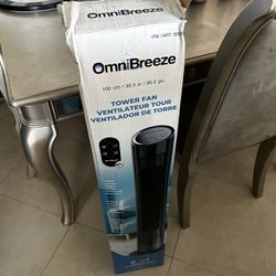 Fan With Control
