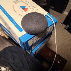 Google Home Mini