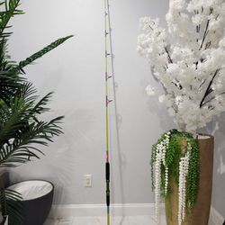 Custom 9'0 Snook / Tarpon Fishing Spinning Rod