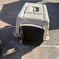 Dog Kennel