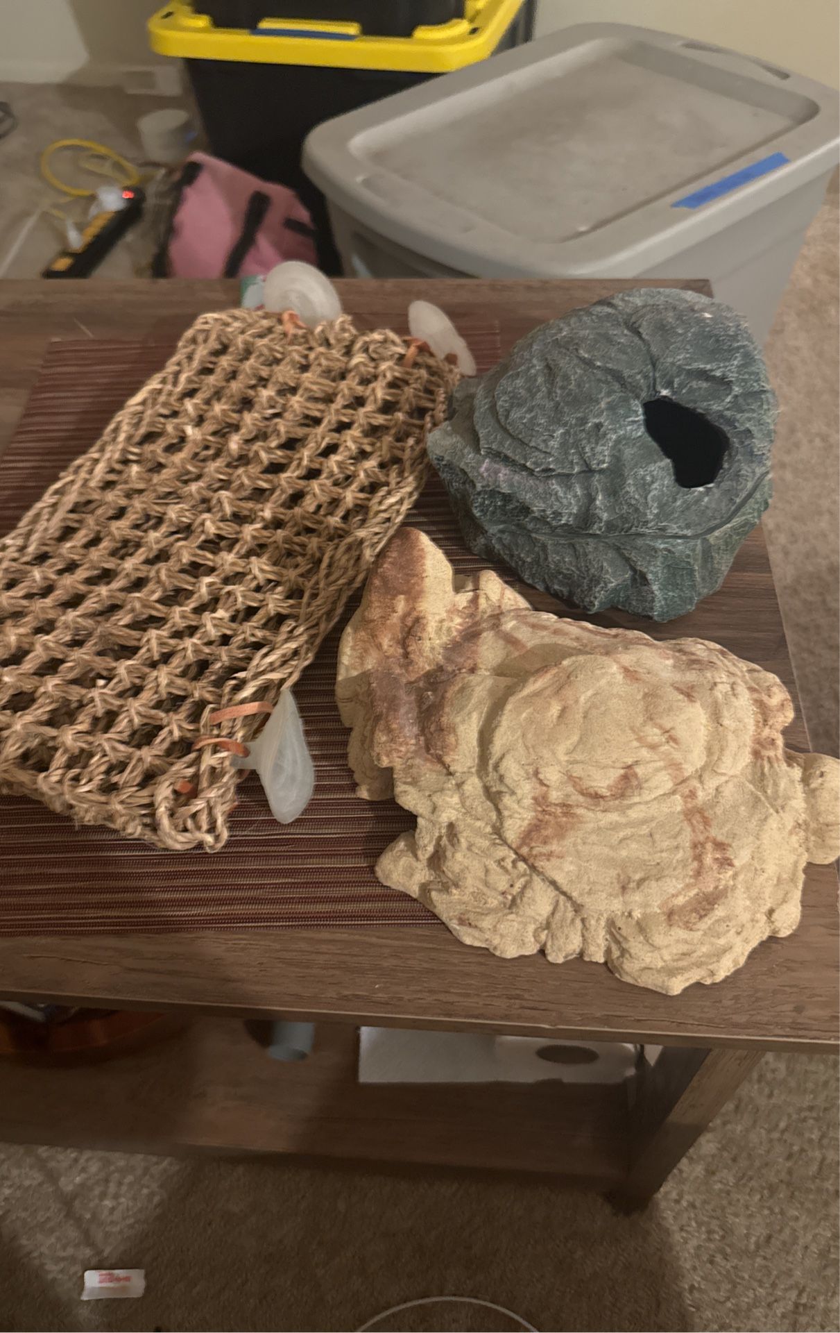Reptile Decor