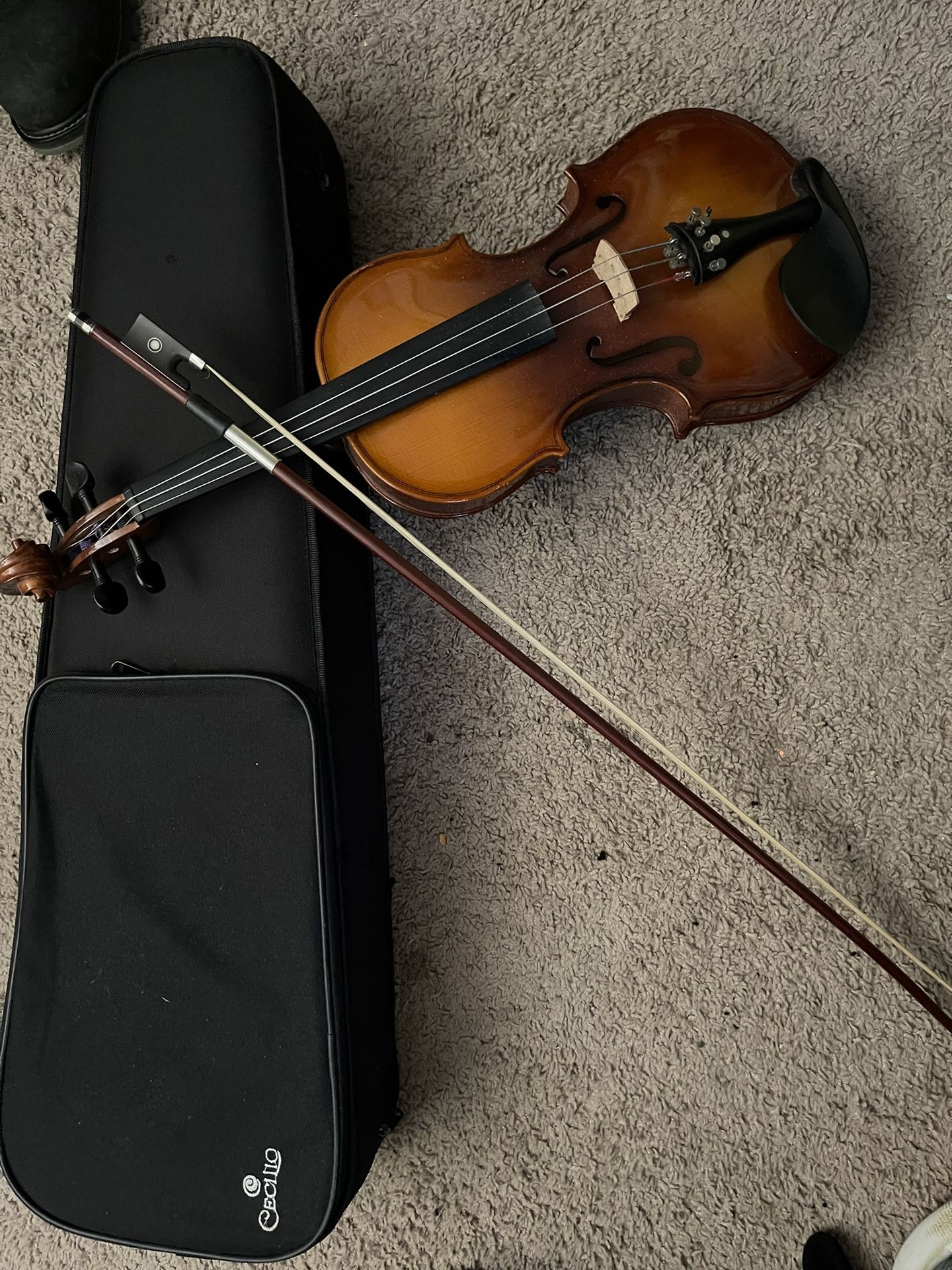 Violin