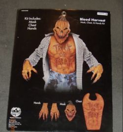 Halloween Costume