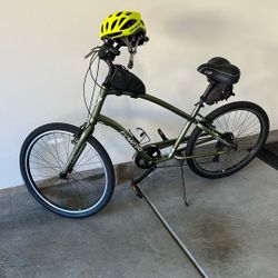 Electra Townie