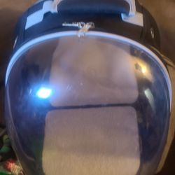 Several Kitten Belongings 