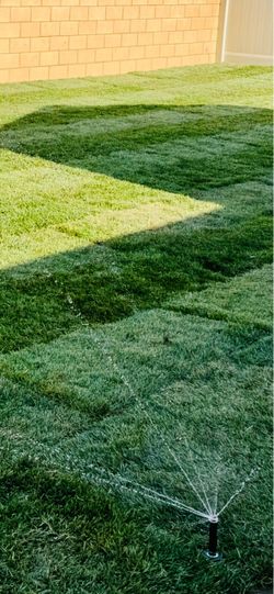 New Green Landscape