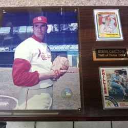 Steve Carlton Hall Of Fame Plaque