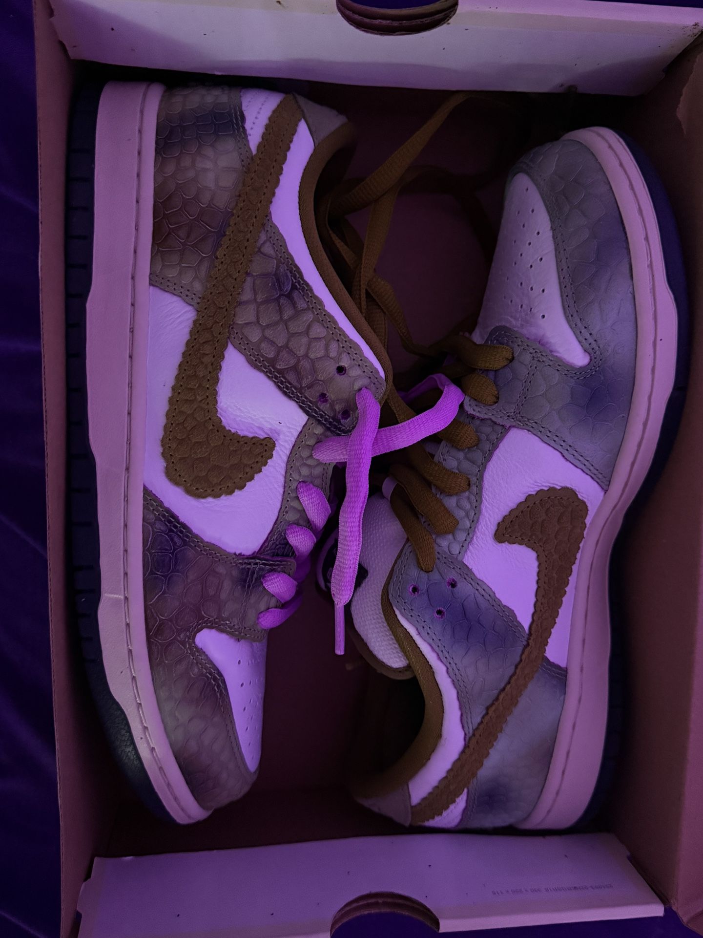 Nike SB Dunk Low “Alexis Sablone Chameleon” Size 10.5 Men