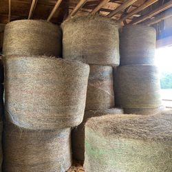 Horse & Cattle Hay For Sale 