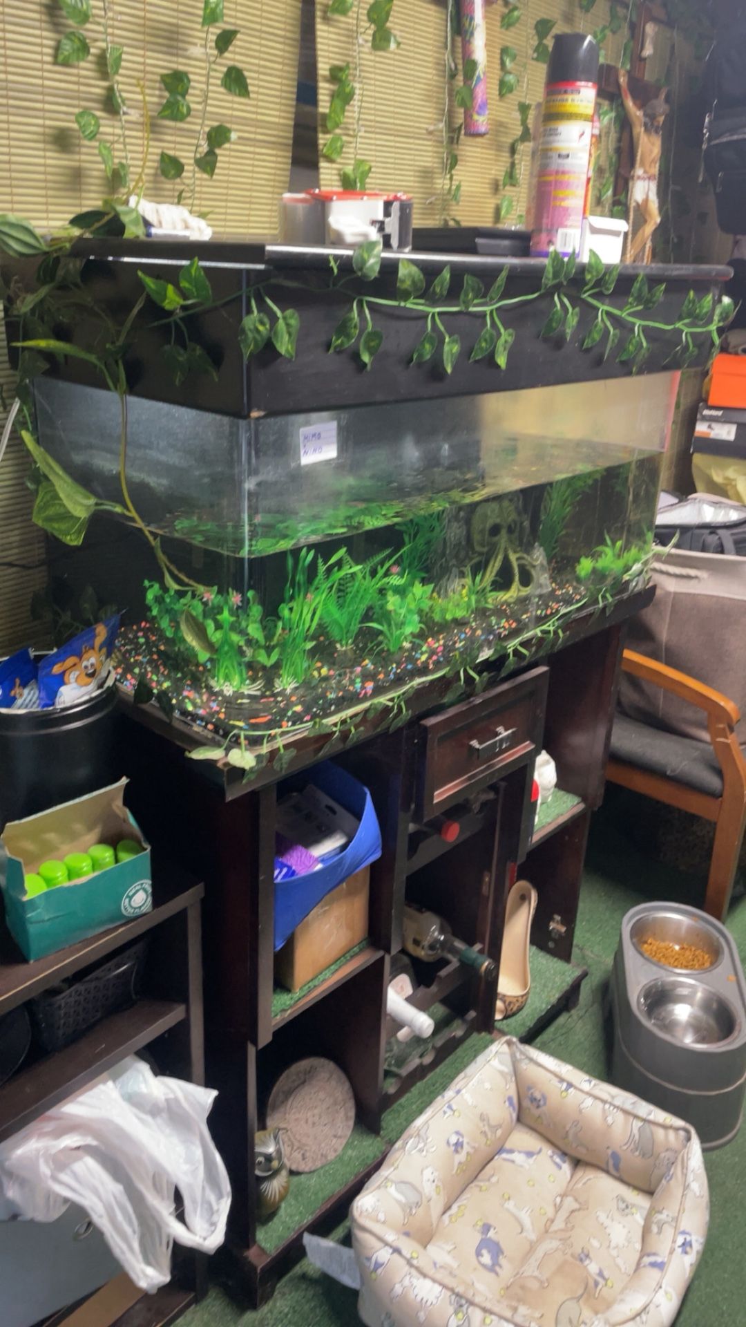 Fish Tank