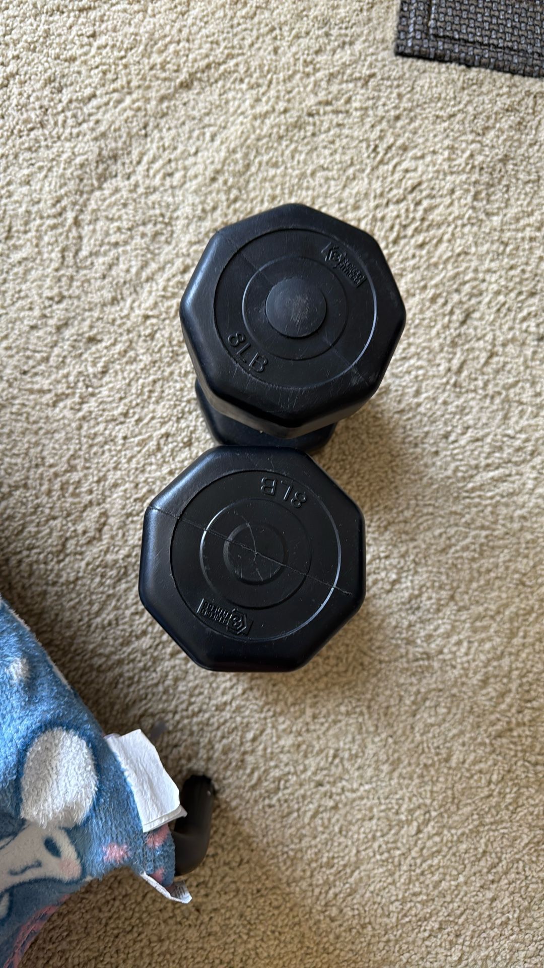 8 Lbs Dumbbells 💪🏼