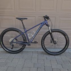 Trek Roscoe 6 