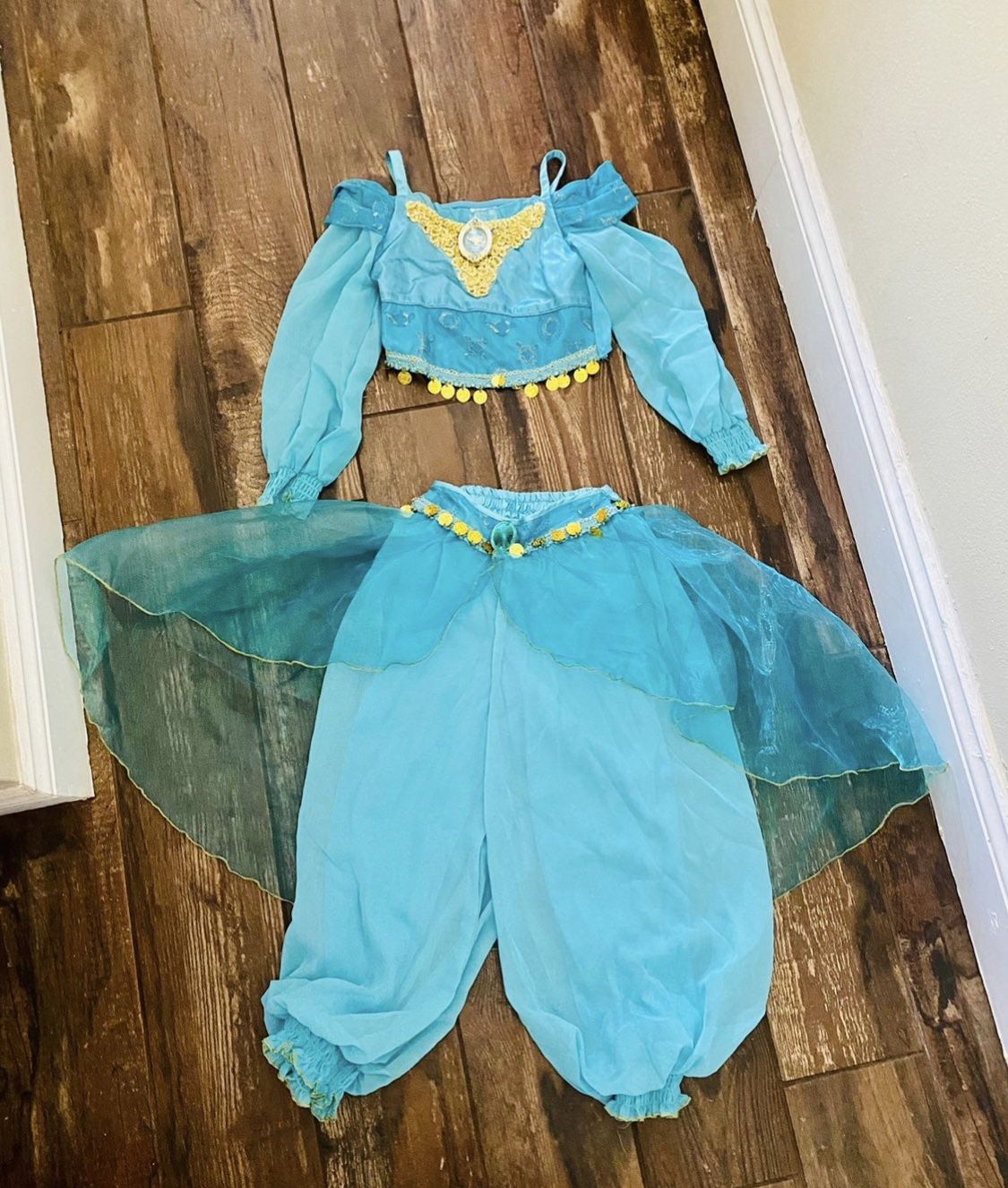 Disney store Jasmine Costume