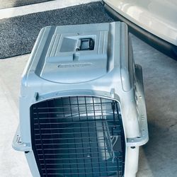 Medium sized Dog box