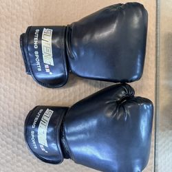 Martial Art Glove Adult Size