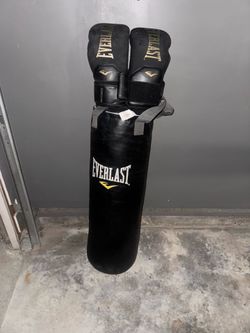 Punching bag with gloves