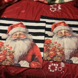 Throw Pillow Covers