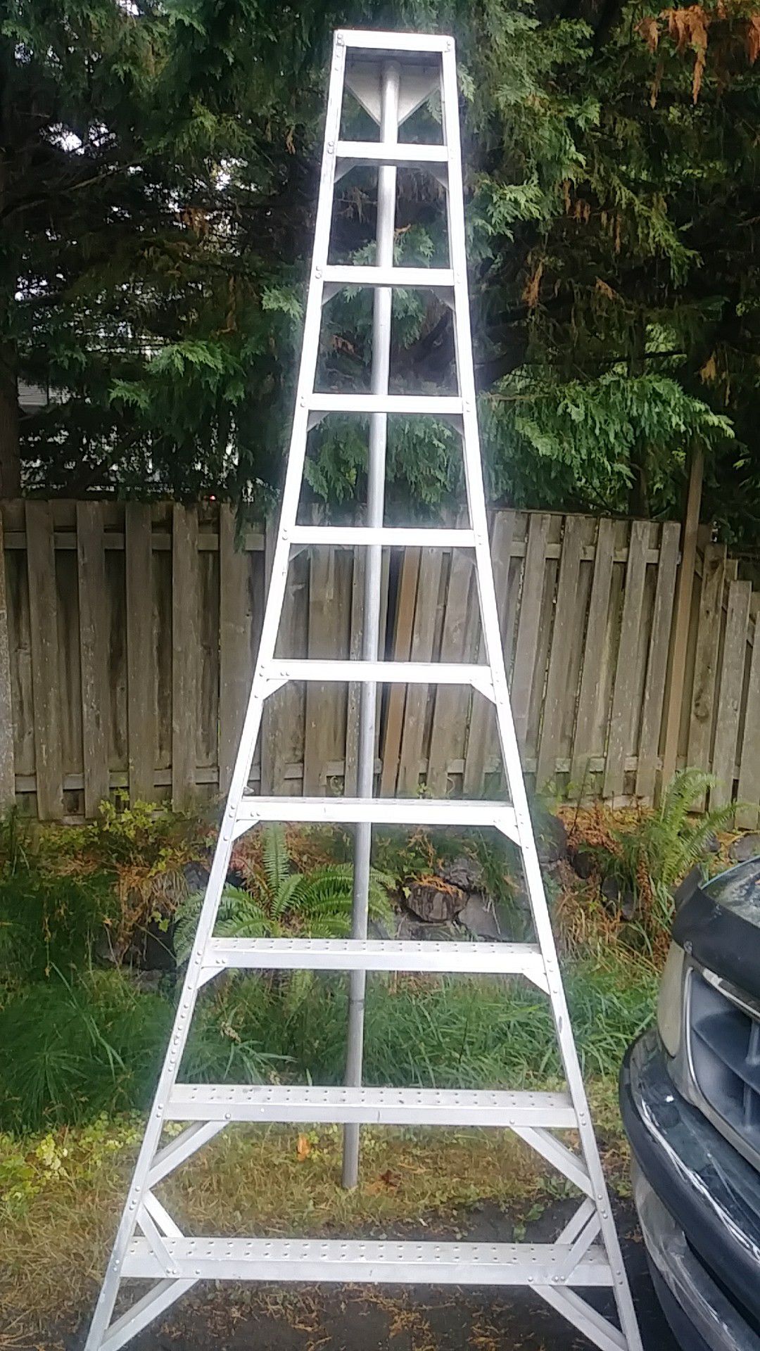 Triple ladder