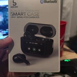 Earphones