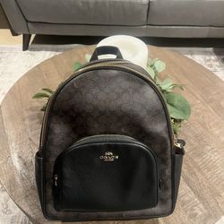 Coach Signature Canvas Backpack In Black And Brown