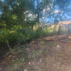Rocky Fill Wanted- Fredericksburg 17026