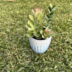 Artificial Succulent