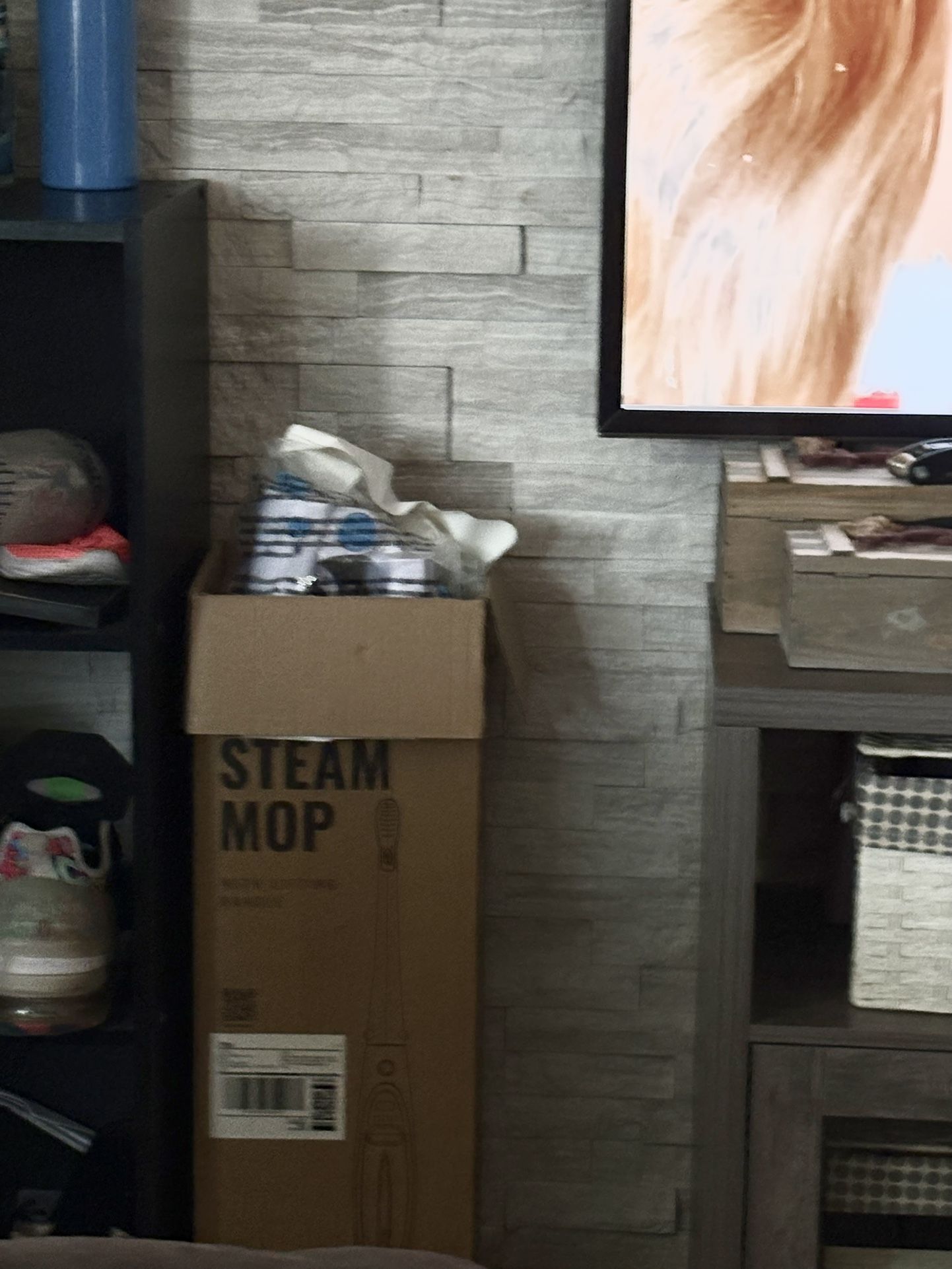 Steam Mop New